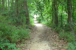 Walk the trail 